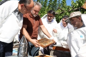 bursa-buyuksehirden-keleste-bal-hasadi-lKGShbYR.jpg