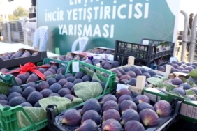 bursa-nilufer-12-akcalar-fadilli-incir-festivaline-hazir-gQRFbRIt.jpg