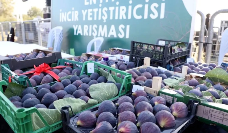 bursa-nilufer-12-akcalar-fadilli-incir-festivaline-hazir-gQRFbRIt.jpg