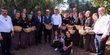 bursanin-iki-ilcesinde-zeytin-mirasina-ozel-hasat-516KKBn4.jpg