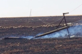 dicle-elektrikten-aniz-yakimi-uyarisi-C43aRCBb.jpg
