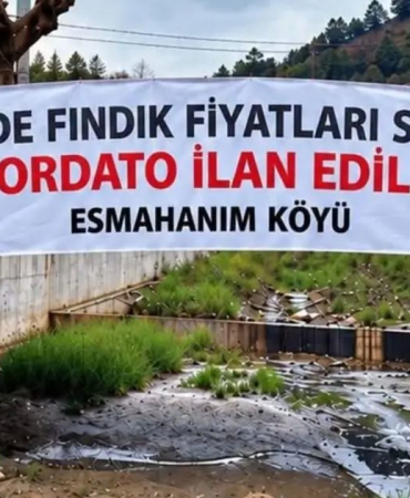 duzce-akcakocada-ureticinin-findik-fiyati-tepkisi-W5v9686H.jpg