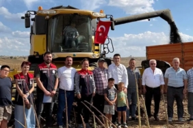 ipsalada-aycicegi-hasadi-heyecani-Apn7OD2K.jpg