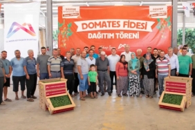 mersinde-ureticiye-domates-fidesi-destegi-cXzd67kY.jpg