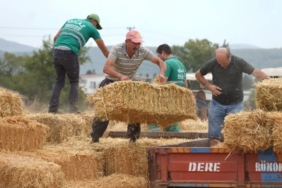 milas-belediyesinden-ureticilere-destek-paketi-9fQI7Yfn.jpg