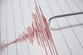 yeni-kaledonyada-66lik-deprem-UrgAKmDt.jpg